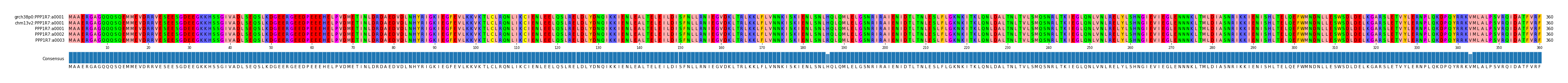 Multiple Alignments (by translate haplotype frequency)