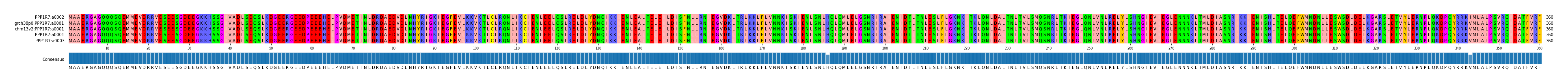 Multiple Alignments (by translate haplotype similarity)