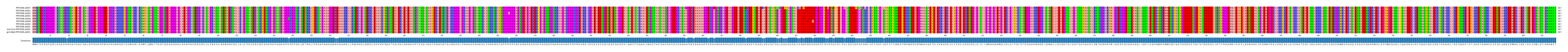 Multiple Alignments (by translate haplotype similarity)