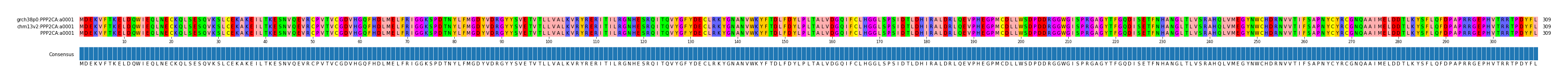 Multiple Alignments (by translate haplotype similarity)