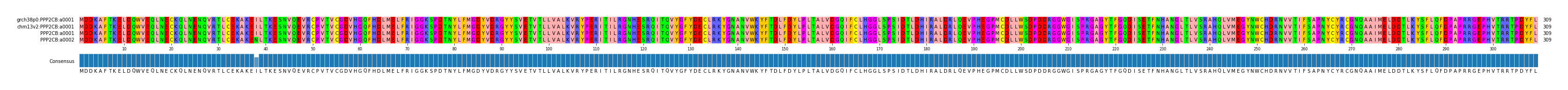 Multiple Alignments (by translate haplotype similarity)