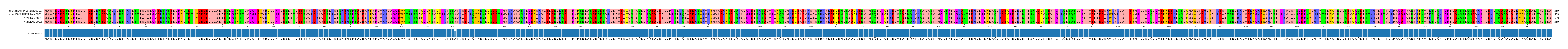 Multiple Alignments (by translate haplotype similarity)