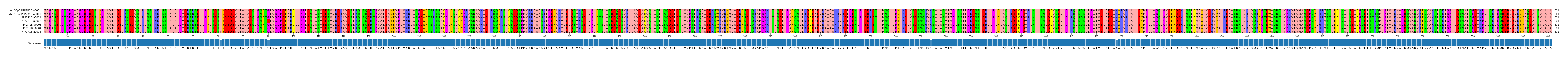 Multiple Alignments (by translate haplotype frequency)