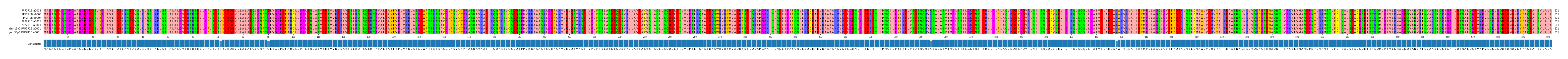 Multiple Alignments (by translate haplotype similarity)