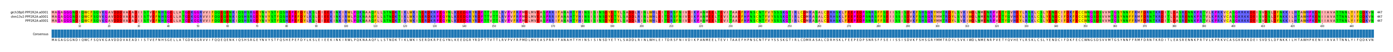 Multiple Alignments (by translate haplotype similarity)
