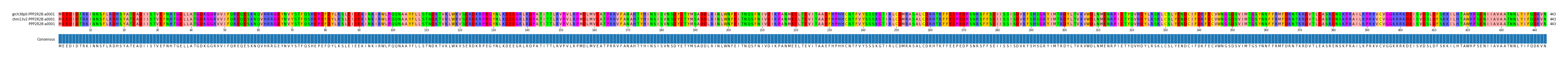 Multiple Alignments (by translate haplotype similarity)