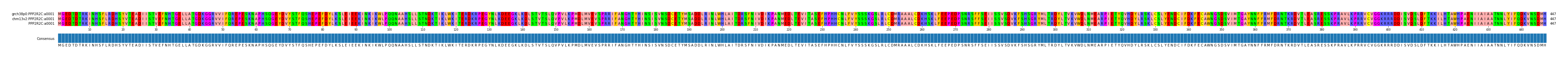Multiple Alignments (by translate haplotype frequency)
