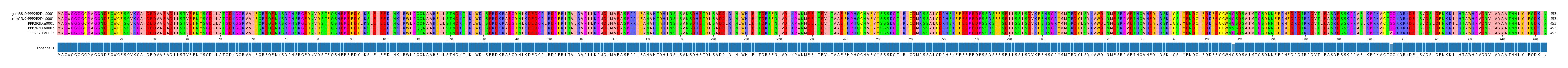 Multiple Alignments (by translate haplotype frequency)