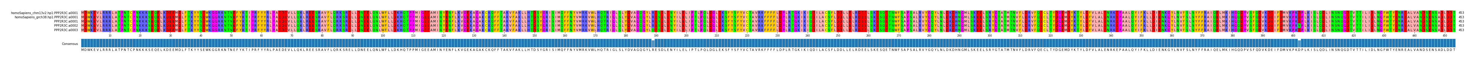 Multiple Alignments (by translate haplotype frequency)