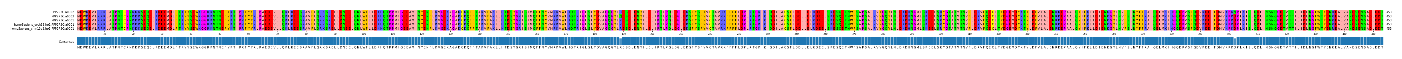 Multiple Alignments (by translate haplotype similarity)
