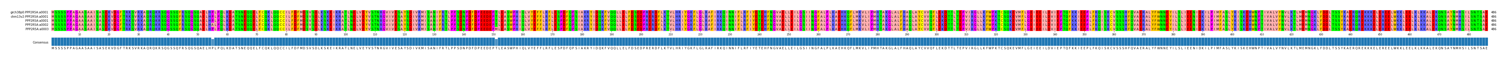 Multiple Alignments (by translate haplotype frequency)