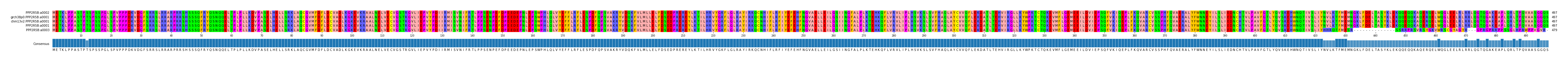 Multiple Alignments (by translate haplotype similarity)