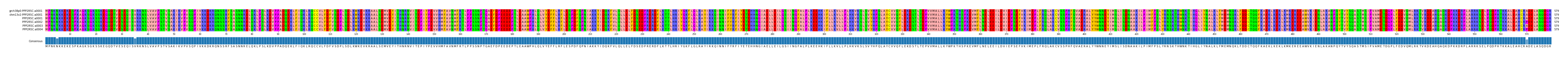 Multiple Alignments (by translate haplotype frequency)