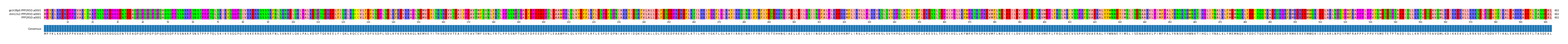Multiple Alignments (by translate haplotype similarity)