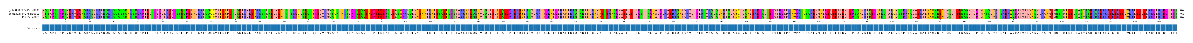Multiple Alignments (by translate haplotype similarity)