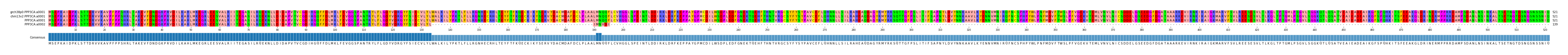 Multiple Alignments (by translate haplotype similarity)