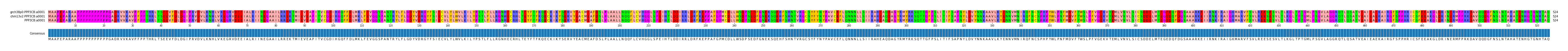 Multiple Alignments (by translate haplotype similarity)