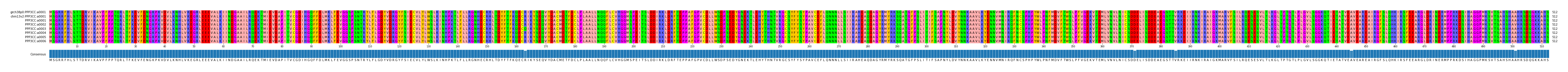 Multiple Alignments (by translate haplotype frequency)