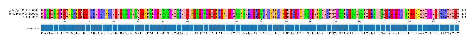 Multiple Alignments (by translate haplotype similarity)