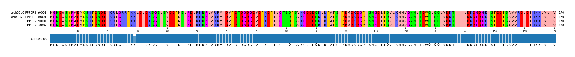 Multiple Alignments (by translate haplotype similarity)