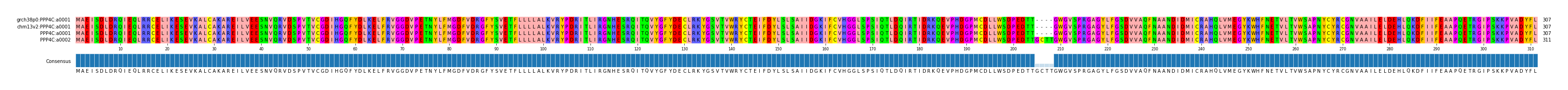 Multiple Alignments (by translate haplotype frequency)