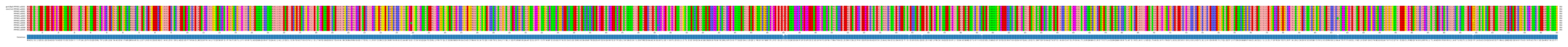 Multiple Alignments (by translate haplotype frequency)