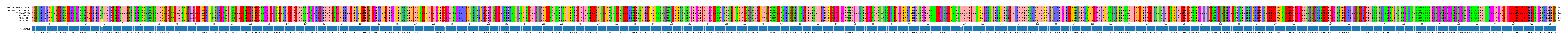 Multiple Alignments (by translate haplotype frequency)