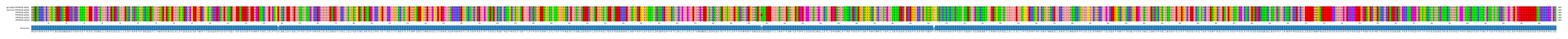 Multiple Alignments (by translate haplotype frequency)