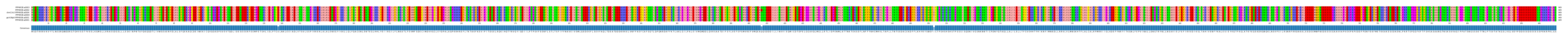 Multiple Alignments (by translate haplotype similarity)