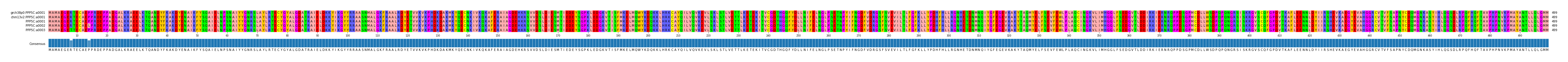 Multiple Alignments (by translate haplotype frequency)