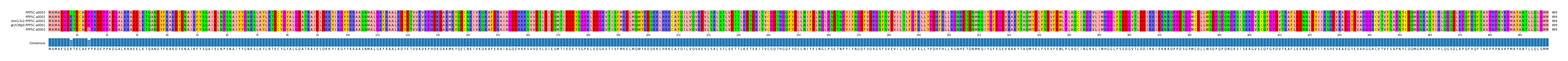 Multiple Alignments (by translate haplotype similarity)