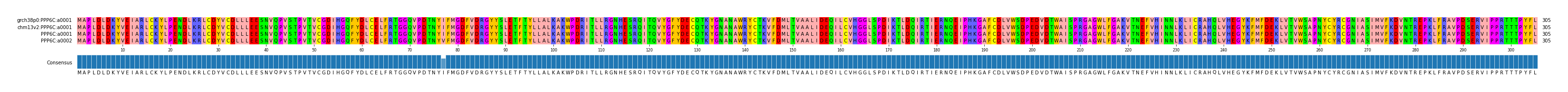 Multiple Alignments (by translate haplotype similarity)