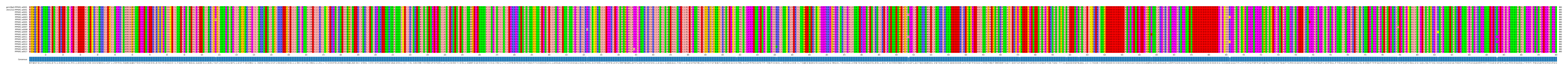 Multiple Alignments (by translate haplotype frequency)