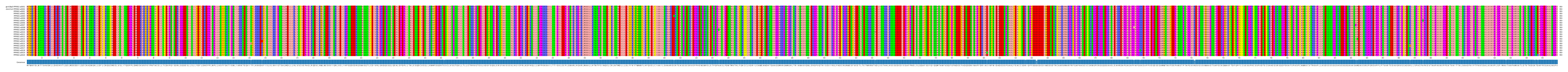 Multiple Alignments (by translate haplotype frequency)