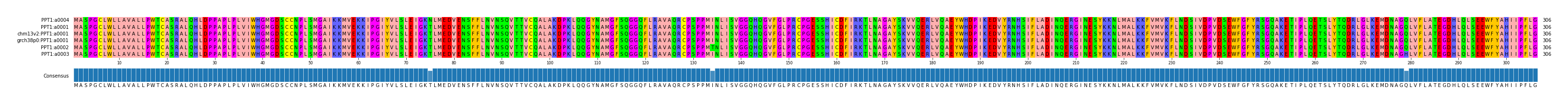Multiple Alignments (by translate haplotype similarity)