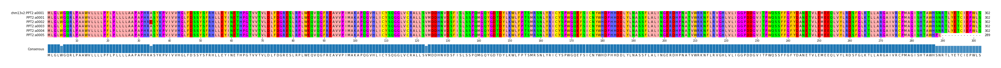 Multiple Alignments (by translate haplotype frequency)