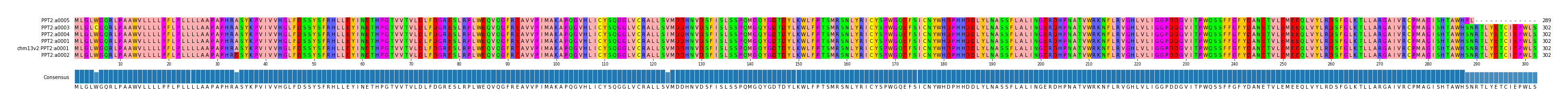 Multiple Alignments (by translate haplotype similarity)