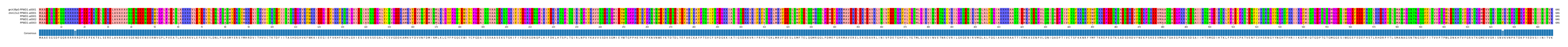 Multiple Alignments (by translate haplotype frequency)