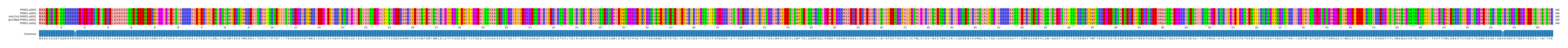 Multiple Alignments (by translate haplotype similarity)