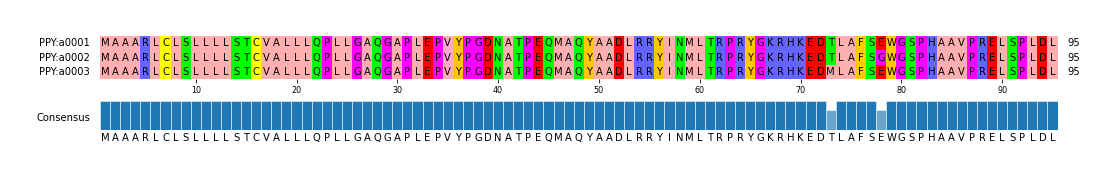 Multiple Alignments (by translate haplotype frequency)