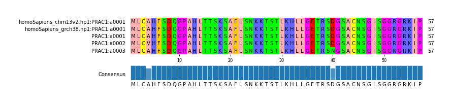 Multiple Alignments (by translate haplotype frequency)