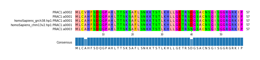 Multiple Alignments (by translate haplotype similarity)