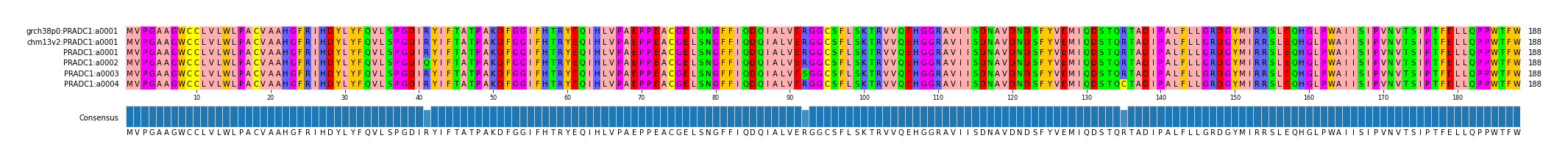 Multiple Alignments (by translate haplotype frequency)