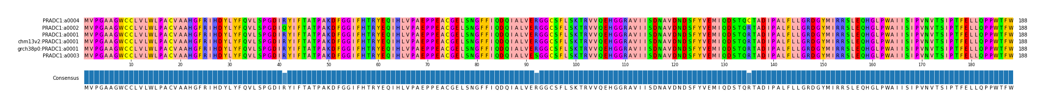 Multiple Alignments (by translate haplotype similarity)