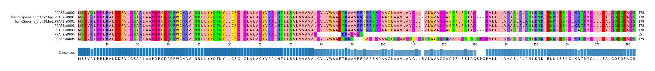 Multiple Alignments (by translate haplotype similarity)