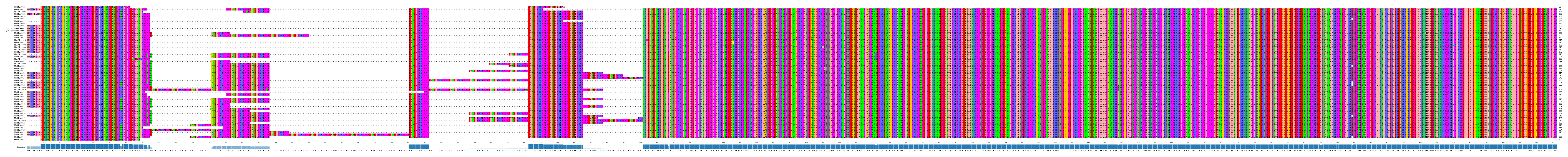 Multiple Alignments (by translate haplotype similarity)