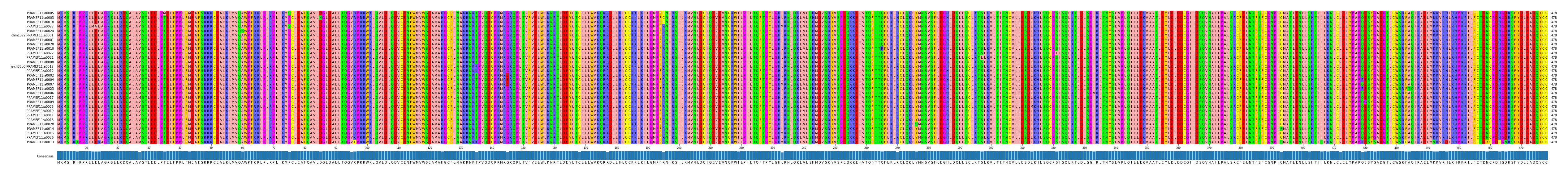 Multiple Alignments (by translate haplotype similarity)