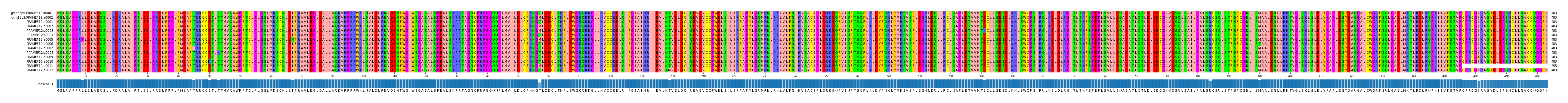 Multiple Alignments (by translate haplotype frequency)