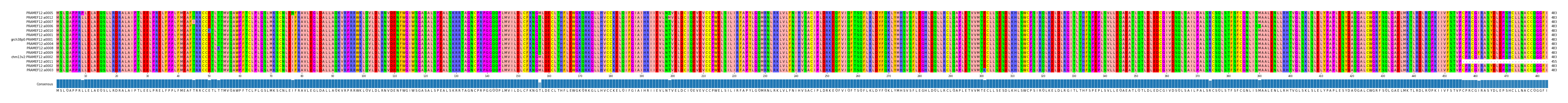 Multiple Alignments (by translate haplotype similarity)