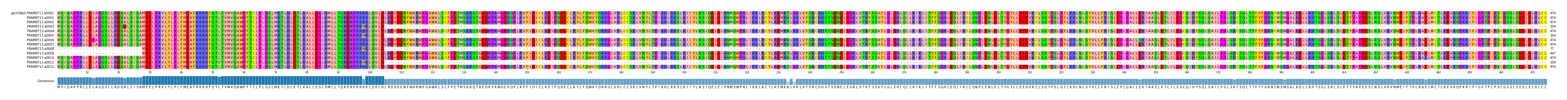 Multiple Alignments (by translate haplotype frequency)